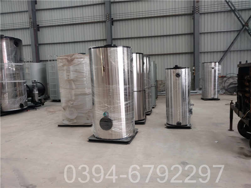 十吨燃气锅炉(图1)