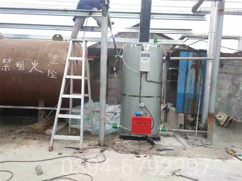 最小型蒸汽锅炉(图3)