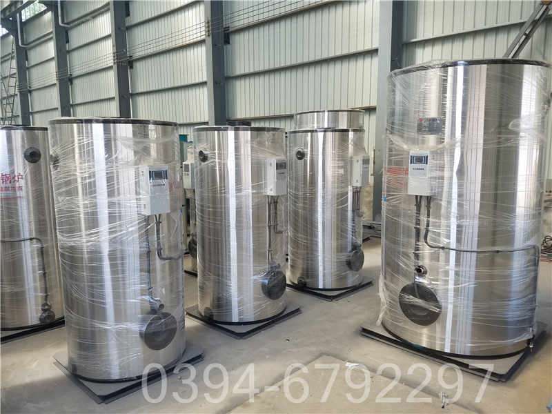 中压燃气蒸汽锅炉(图3)
