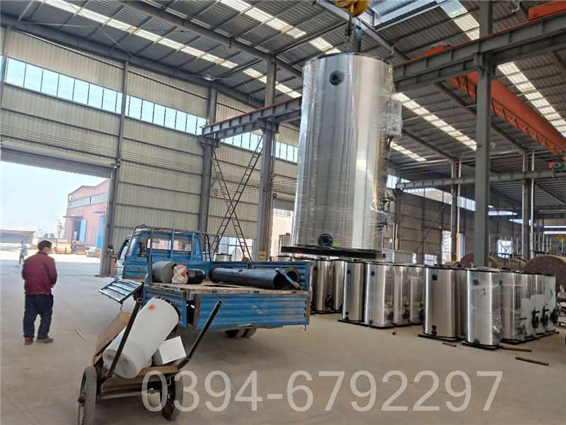 蒸汽锅炉2吨(图3)