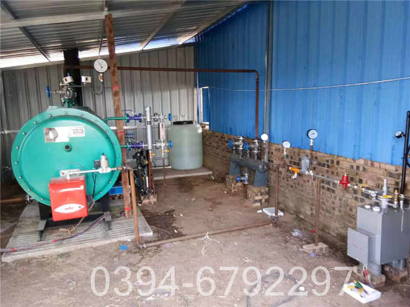 浴池专用锅炉价格(图3)