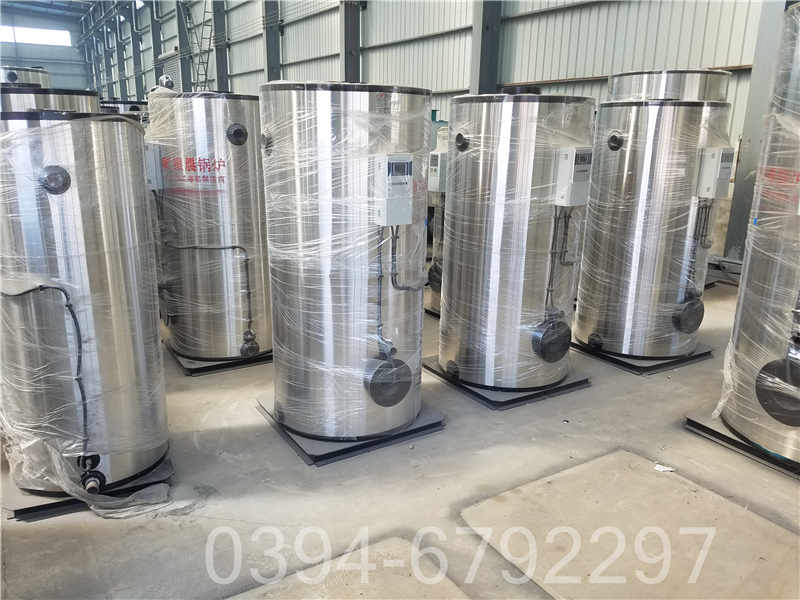 0.1吨大棚热水锅炉(图2)