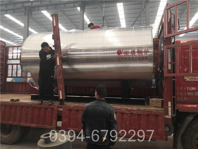 12吨燃气低氮锅炉(图3)