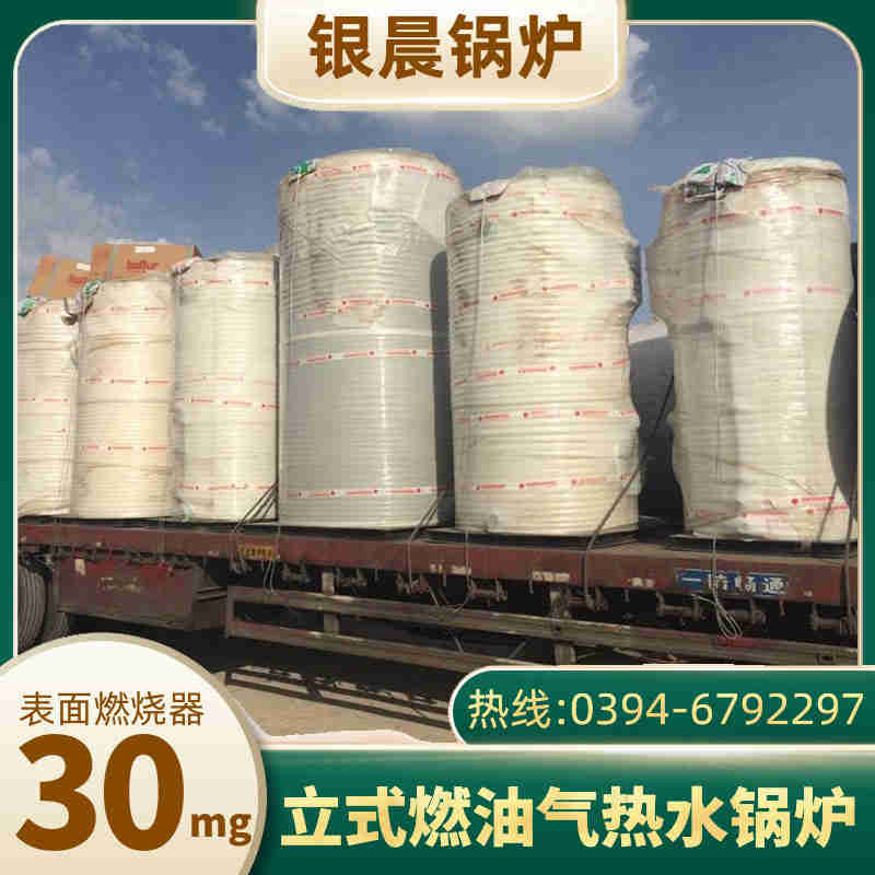 立式生物质锅炉(图1)