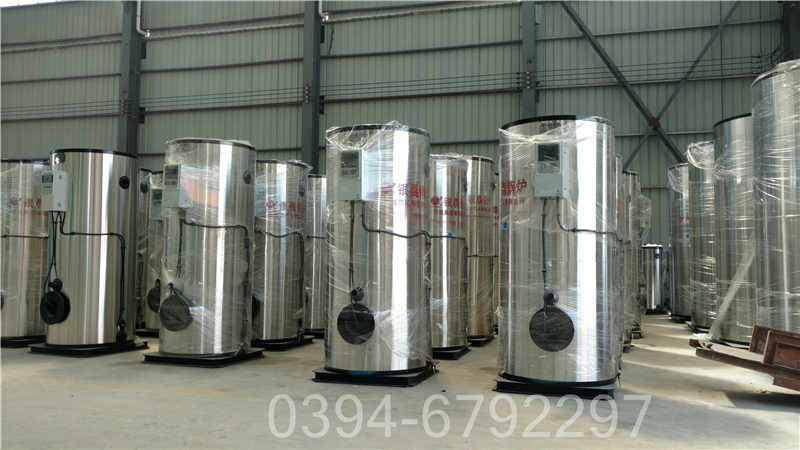 山西0.7吨燃气热水锅炉(图3)