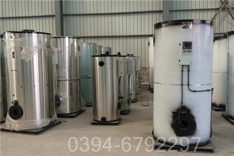 湖北12吨锅炉(图3)