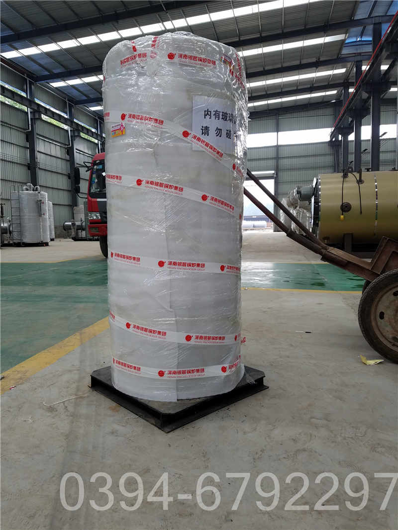 陕西1.5吨燃气热水锅炉(图2)