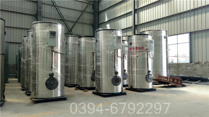 浙江5吨液化气热水锅炉(图2)